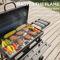 Barbecues robustes pour l'extérieur, grils à charbon de bois pour poulet, pour jardin et cour arrière