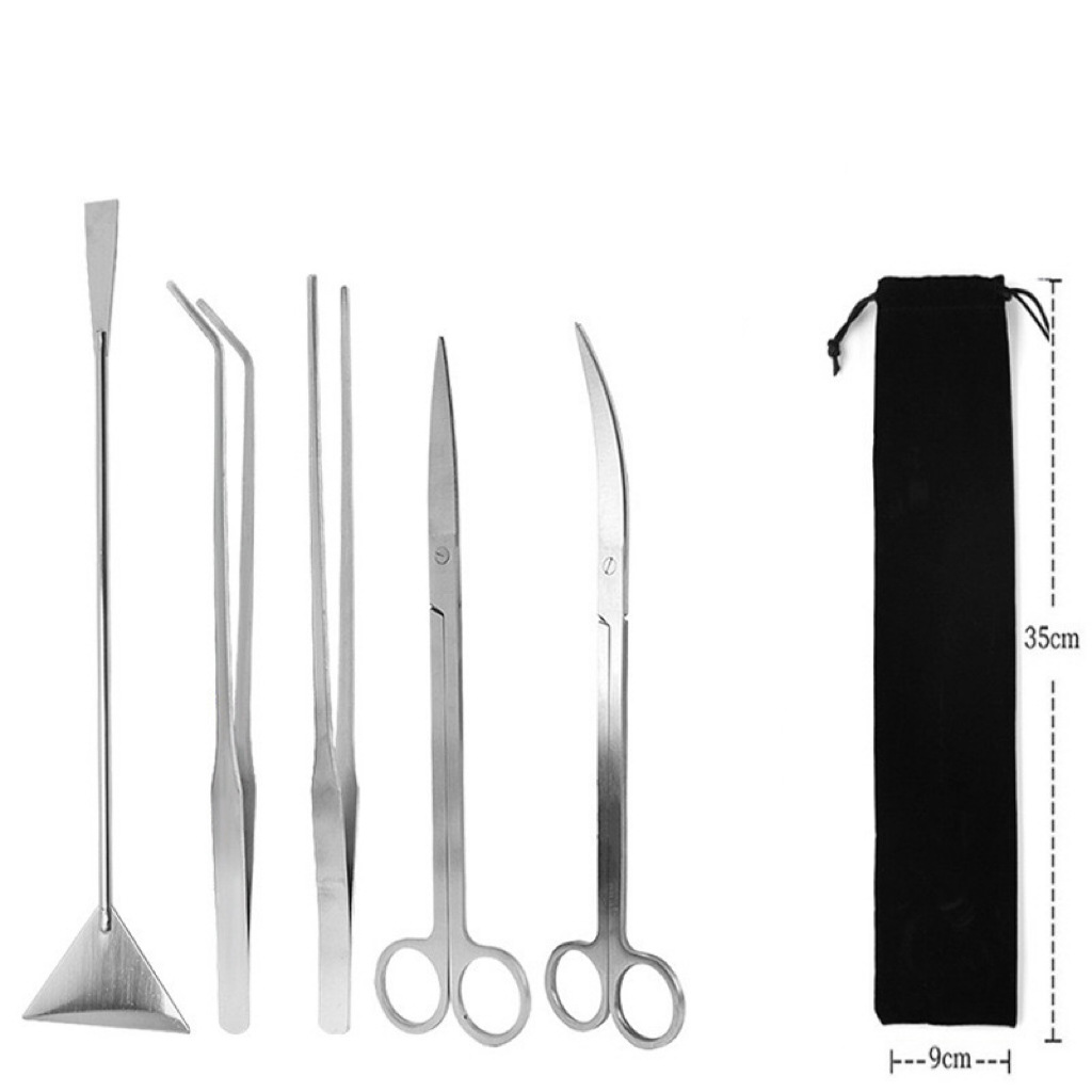 Ensemble 5 pièces en argent