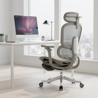 Chaise de bureau ergonomique avec support lombaire et dossier réglables en hauteur, accoudoir en aluminium 6D, nouveau design, unique