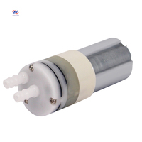 Mini pompe à eau électrique Portable de haute qualité, 3v 6v 12v 24v, pour distributeur d'eau