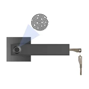 Cheap safe Keyless smart code electronic Fingerprint handle lock with keys for home door