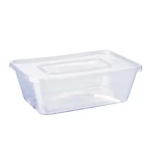 Individueller Lebensmittelbehälter 750 ml quadratische Lunchbox, Aufbewahrungsboxen durchsichtiger rechteckiger Mikrowellen-Kunststoff-Lunchbehälter zum Mitnehmen modern