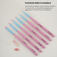 Lot de 6 pinceaux professionnels rose-bleu à manche en bois pour nail art – Outils populaires pour la manucure en gros