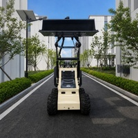 Chargeuse compacte diesel 500 kg pour petit chantier de construction, remblayage de fossés, largeur étroite 982 mm, S370 EPA Euro5