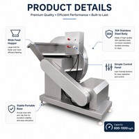 Nouvelle machine à planer la viande congelée et le bœuf en acier inoxydable, automatique, haute capacité 600-1000 kg/h, design portable