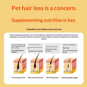 Tabletas de Aceite de Pescado con D-Biotina para Perros y Gatos, <span class=keywords><strong>Salud</strong></span> de la Piel y el Pelaje, Apoyo Inmunológico, Nutrición Profunda, Suplemento Anticaída del Pelo - Product Image 4
