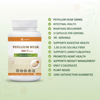 Capsules de Psyllium en Marque Blanche OEM – Complément Alimentaire Certifié GMP, Sans Gluten, Sans OGM pour la Santé Digestive