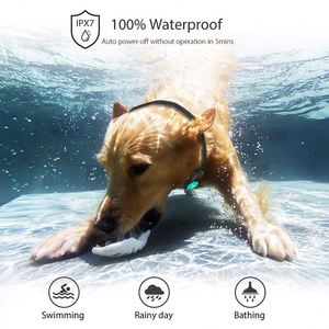 Patpet ปลอกคอสุนัขแบบชาร์จไฟได้สำหรับในร่มและกลางแจ้ง - Product Image 5