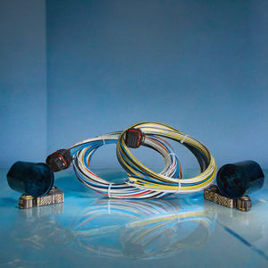 Kit Kabel <span class=keywords><strong>Harness</strong></span> ECU Universal Motorsport SHOAYER SY-34 600V dengan Konduktor Tembaga Berlapis Timah, Selubung Tefzel, 26 Pin - Product Image 3