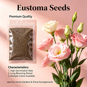 Semillas de Lisianthus de Alto Rendimiento, Semillas de <span class=keywords><strong>Eustoma</strong></span> <span class=keywords><strong>Grandiflorum</strong></span>, Semillas de Flores Ornamentales en Maceta para Decoración del Hogar, Venta al por Mayor - Product Image 4