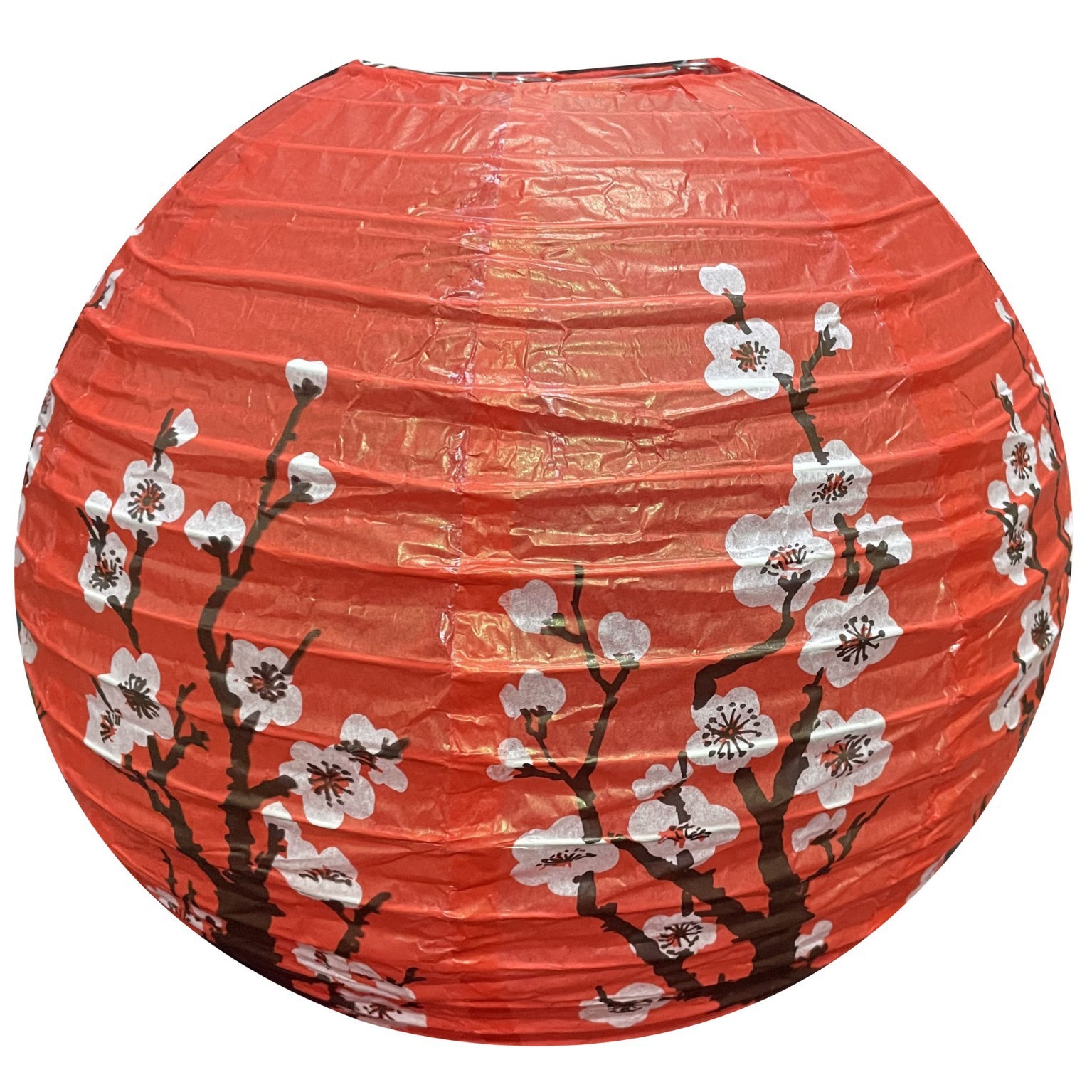 Flor de ciruelo de base roja
