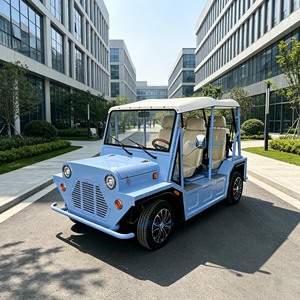 Les voitures classiques personnalisées en usine sont disponibles dans une variété de styles. Voitures classiques Jeep et voitures électriques/bus touristiques - Product Image 1