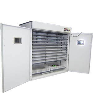 5280 Trứng Trứng Lồng Ấp Ở Dubai/<span class=keywords><strong>CE</strong></span> Được Phê Duyệt Gia Cầm Gà Máy Ấp Trứng/Trứng Lồng Ấp Trứng - Product Image 4