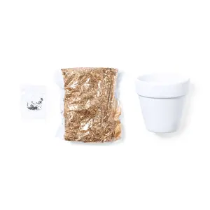 Pot avec graines de cactus gadgets écologiques - Product Image 2