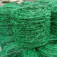 Fil barbelé robuste en PVC à double brin pour la protection des murs de clôture