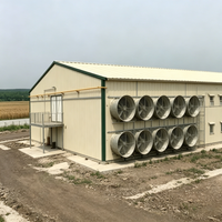 Poulailler préfabriqué économique en structure acier, à montage rapide, style ferme moderne, anti-corrosion