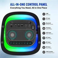 Enceinte de fête portable CSL-0811 double 8 pouces avec lumière LED RVB effet flamme, micro sans fil et basses puissantes pour extérieur