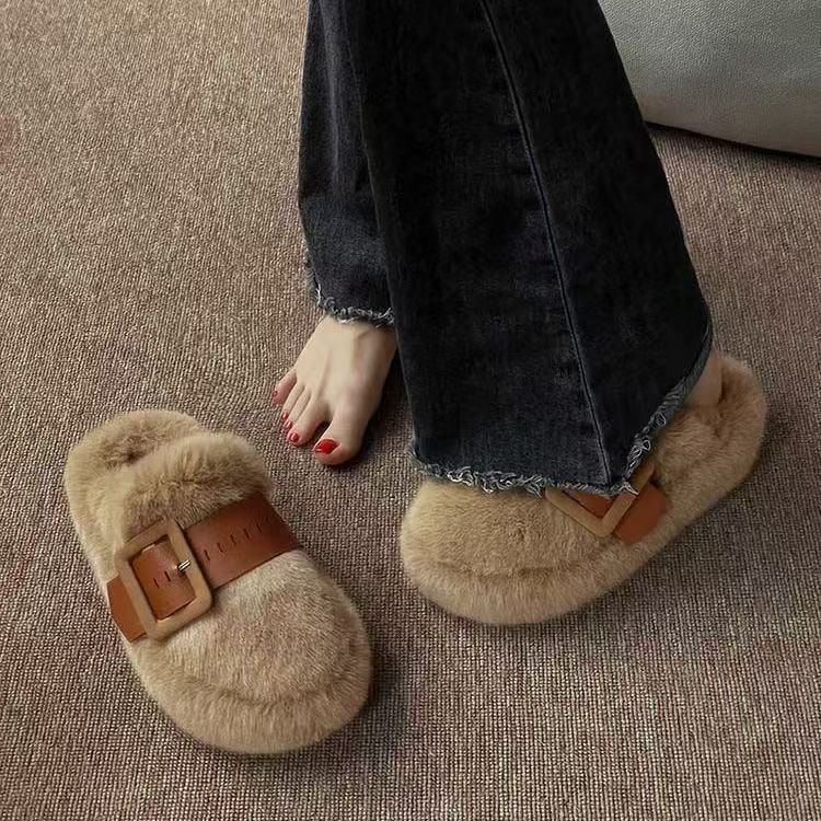 Brown ordinary edition