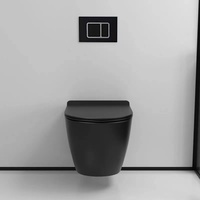 Ensemble WC Suspendu Sans Bride en Céramique Noire avec Siphon en P