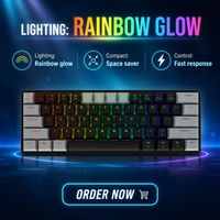 Clavier mécanique filaire à profil bas 60 % OEM/ODM d'usine, personnalisé 61 touches, interrupteurs rouges, USB Type-C, LED RGB
