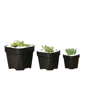 Maceta Cuadrada Pequeña y Resistente <span class=keywords><strong>de</strong></span> Plástico Ecológico para Plantas <span class=keywords><strong>de</strong></span> Jardín, <span class=keywords><strong>Cactus</strong></span>, Flores y Semillas, en Blanco y Negro, en Oferta - Product Image 1