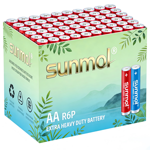 Piles alcalines LR6 avec logo personnalisé, durée de conservation exceptionnellement longue, plus vous achetez, moins cher devenent-elles - Product Image 5