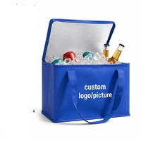 Sac isotherme réutilisable grande capacité avec fermeture éclair, pour plage, pique-nique en plein air, personnalisable ODM/OEM