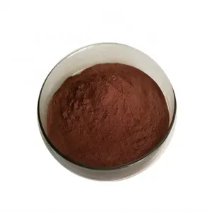 Polvo de extracto de té negro instantáneo secado por pulverización orgánico de alta calidad