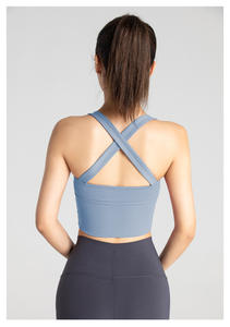 Sujetador Deportivo para Mujer OEM ODM con Cierre Frontal Alto para Entrenamiento, Yoga, Transpirable, con Diseño Cruzado, Nuevo, Antigolpes, Fitness, Tallas Grandes - Product Image 6