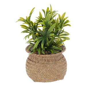 PLANTA ARTIFICIAL JILING CON MACETA DIAM. 12.5X H. 20CM - Product Image 1