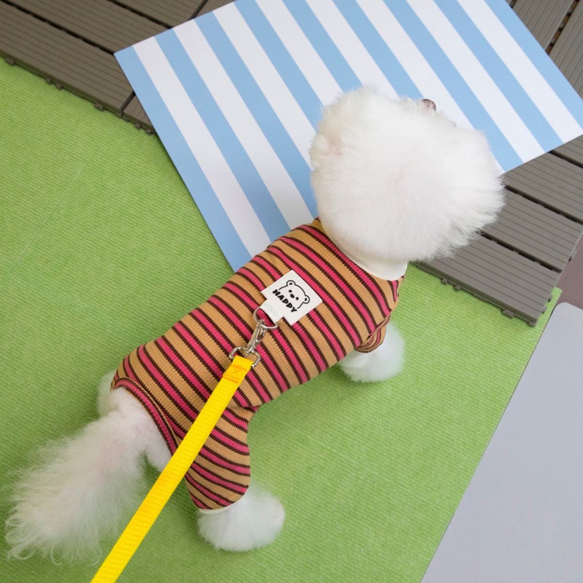 สีเหลือง