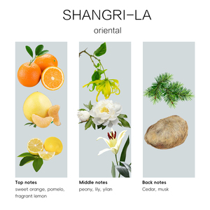 Shangri-La 2025 Offre Spéciale Huile de <span class=keywords><strong>Parfum</strong></span> Longue Durée pour Hôtels Plateforme B2B – Huile de <span class=keywords><strong>Parfum</strong></span> pour Diffuseur de Senteur - Product Image 3