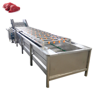 Washing Machine for Vegetables and Fruits Brush Vegetable and Fruit Cleaning Machine Fruit Washing Machines apple