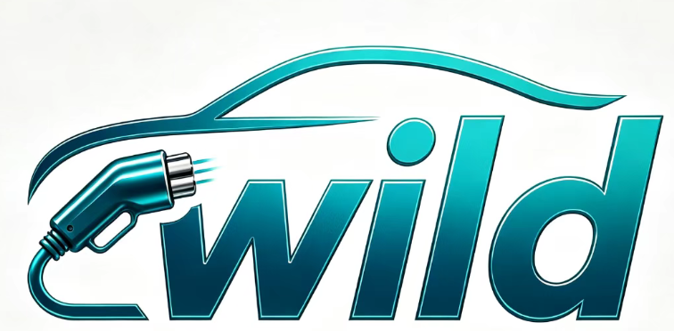 Taizhou Wild New Energy Technology Co., Ltd. logo