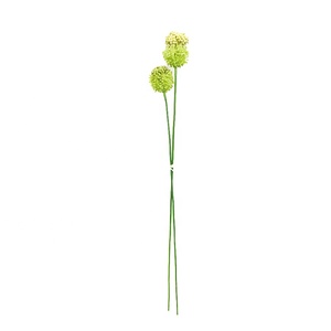 Tallos Dobles de Ajo Artificial de 73 cm, Tallos de Ajo Simulados para Decoración de Interiores, Venta al por Mayor - Product Image 4