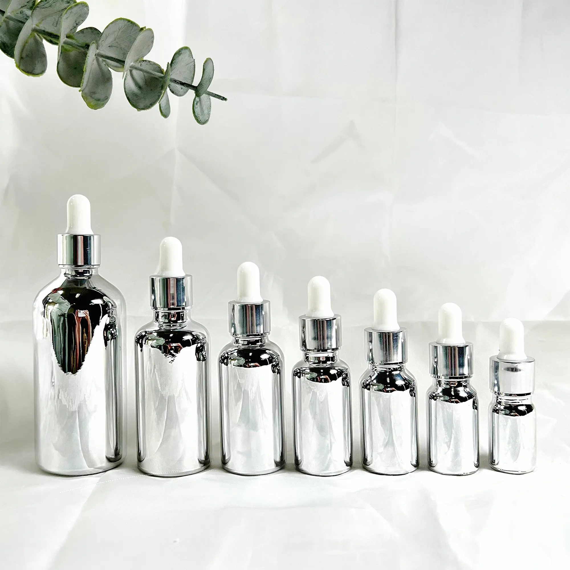 Luxe Galvaniseren Zilveren Druppelaar Etherische Olie Glazen Fles Groothandel 10Ml Met Doos Verpakking