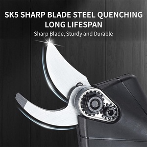 <span class=keywords><strong>Tijeras</strong></span> <span class=keywords><strong>de</strong></span> <span class=keywords><strong>podar</strong></span> <span class=keywords><strong>de</strong></span> jardín eléctricas inalámbricas profesionales con hoja <span class=keywords><strong>de</strong></span> acero SK5 mango <span class=keywords><strong>de</strong></span> plástico antideslizante para <span class=keywords><strong>podar</strong></span> ramas <span class=keywords><strong>de</strong></span> árboles - Product Image 3