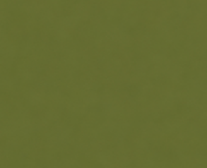 Vert armée