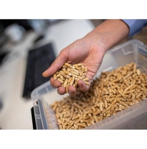 Pellets de Madera de Biomasa Premium, Calidad ENplus, 6 mm, Alto Valor Calorífico, Bajo Contenido de Polvo, Baja Humedad, Combustible Sostenible - Product Image 1