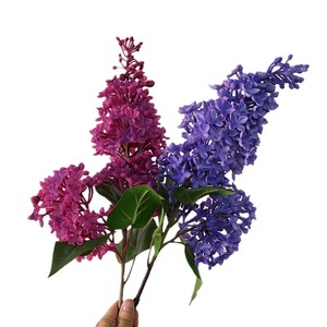 2 Têtes <span class=keywords><strong>de</strong></span> fleurs artificielles en PVC au toucher réel, violettes, bleues, blanches, lilas, pour centre <span class=keywords><strong>de</strong></span> table, mariage, fête, décoration <span class=keywords><strong>de</strong></span> la maison - Product Image 6