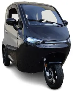 Fully Enclose Cabin Scooter EEC 1500W Electric 3 Wheel Trikes Adults Vehicle Electric Tricycle For The Elderly