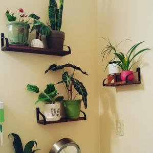 ชั้นวางของติดผนังสไตล์ฝรั่งเศส,ชั้นวางของติดผนังทำจากไม้ไผ่สีดำชั้นวางของแบบลอยสำหรับตกแต่งชั้นวางของทำจากเหล็กชั้นวางของแบบเดี่ยว - Product Image 6