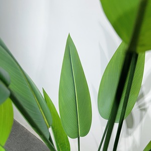 Nuovo <span class=keywords><strong>Design</strong></span> vero tocco morbido artificiale uccello del paradiso fiore decorazione per la casa di natale laurea pasqua e Halloween - Product Image 3