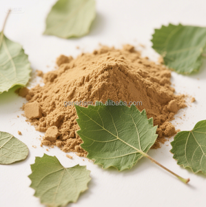 Склад, Оптовая поставка, натуральный белый экстракт листьев тутового дерева, 1%, DNJ, пищевая бутылка, барабанная упаковка, низкая цена, растительный экстракт, порошок - Product Image 2