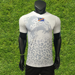 Оптовая продажа, индивидуальный пошив: Мужские спортивные футболки для Кубка Африки наций 26-27, быстросохнущие, дышащие, ткань 220 г, версия для лучшего игрока сборной Конго - Product Image 3