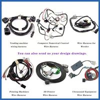 Harness Kabel Listrik Profesional Pabrik OEM ODM untuk Aplikasi Sepeda Motor dan Peralatan Rumah Tangga