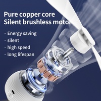 Ventilateur portable multifonction créatif à projection d'étoiles LED pour l'extérieur, lampe d'urgence rechargeable, ambiance camping, petit ventilateur suspendu