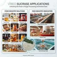 Sucrase Hot Sale 5000u/g Sucrase Sugar Bulk Food Additive Sucrase Powder