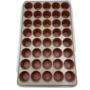 Factory Direct Sales 40 Hole Gray 3 Piece Seedling Tray Tomato Seedling Tray