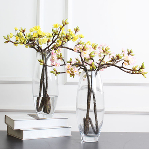 Commercio all'ingrosso prodotti di vendita calda il vaso di vetro <span class=keywords><strong>ovale</strong></span> vaso di fiori decorativo vaso di vetro - Product Image 5